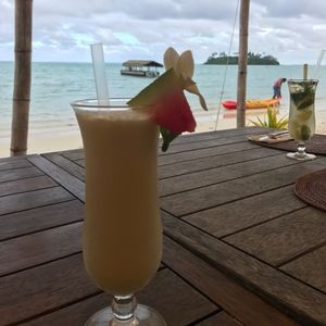 Meet your Posher, Rosa